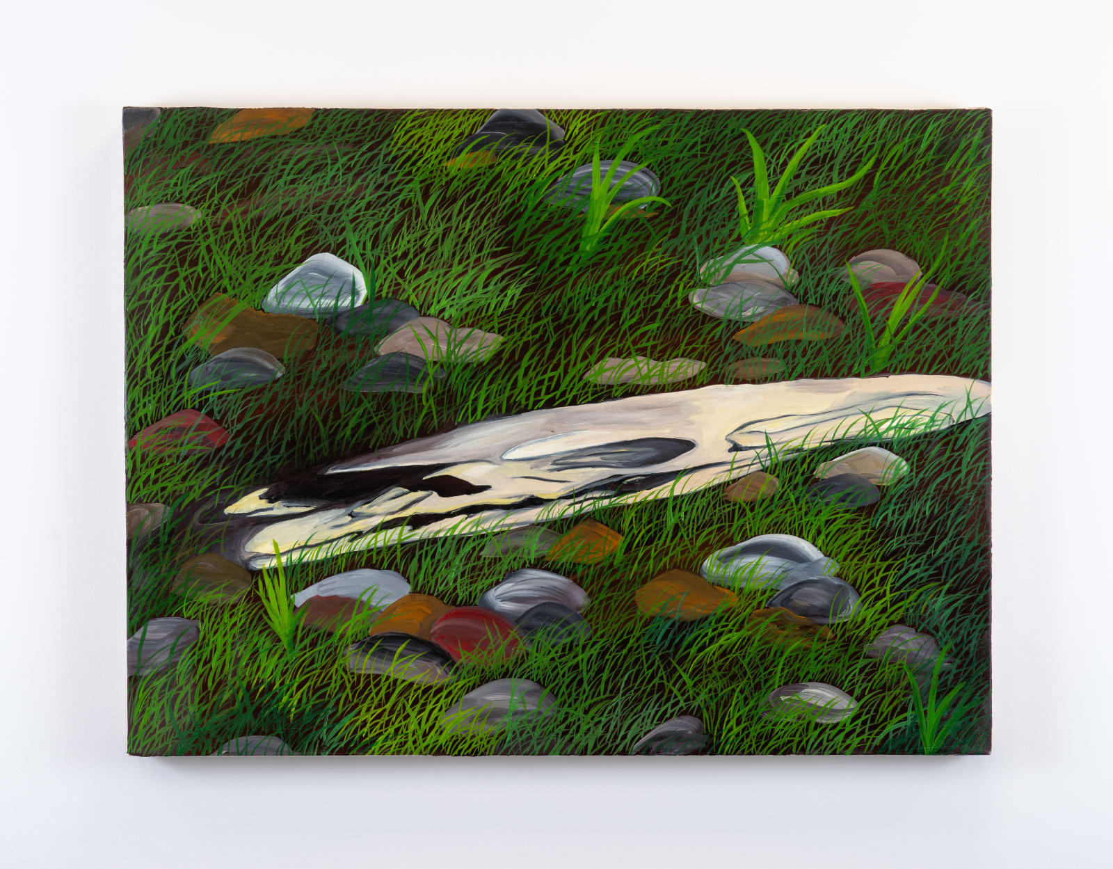 Ben Siekierski, Ambassador, 2025