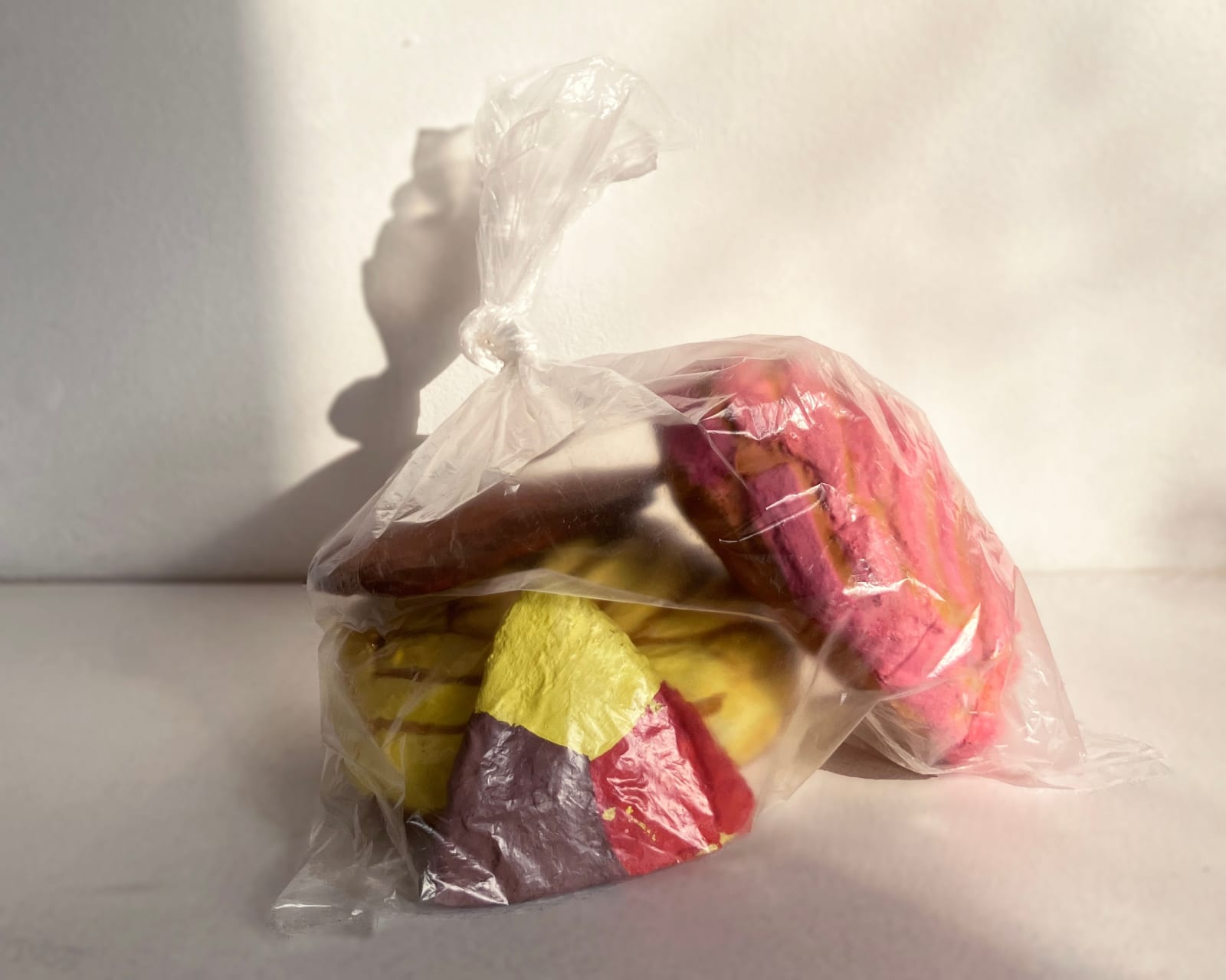 Audrey Rodriguez, Conchas y galletas, 2025