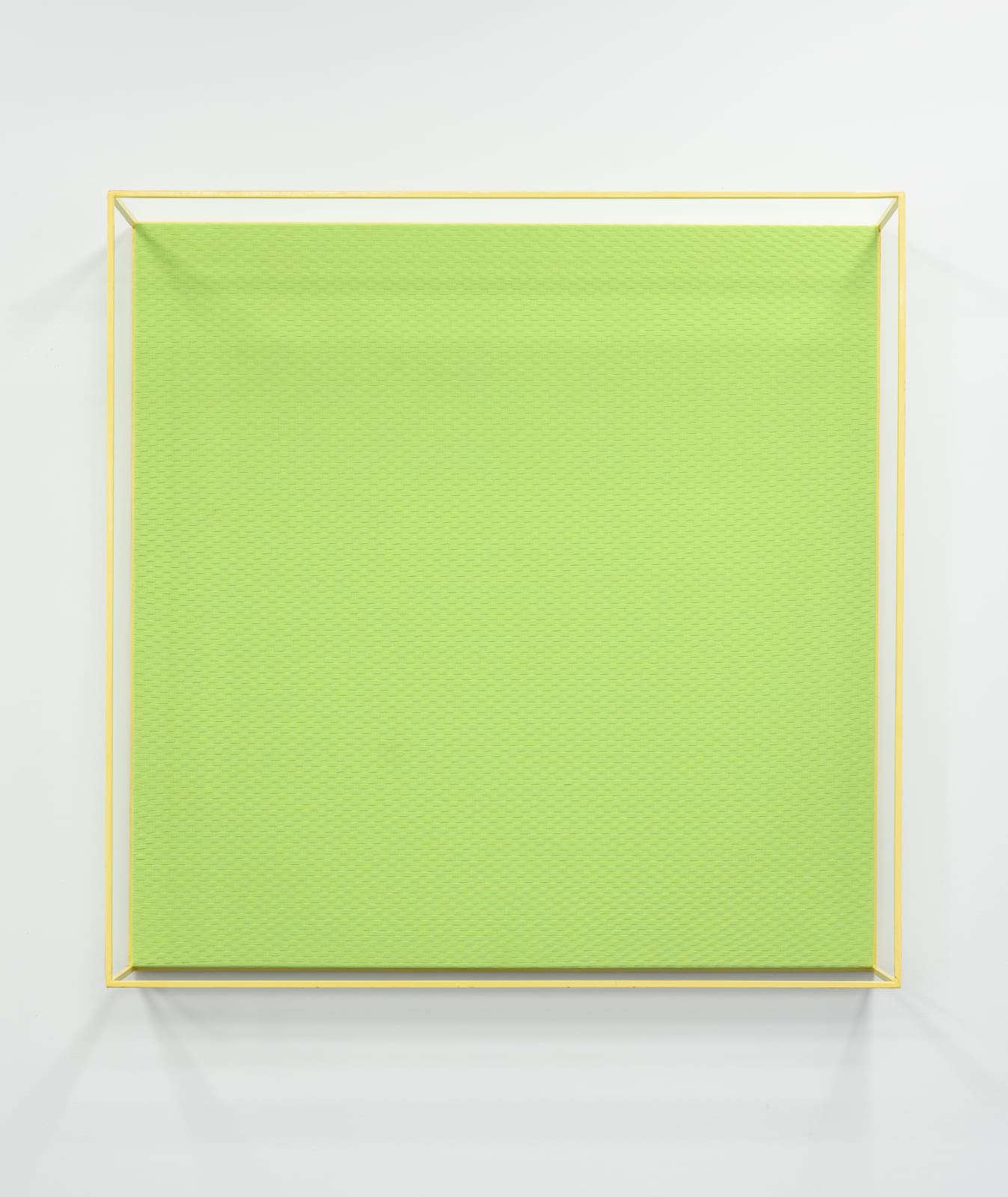 Andy Coolquitt, green weave vitrine, 2018