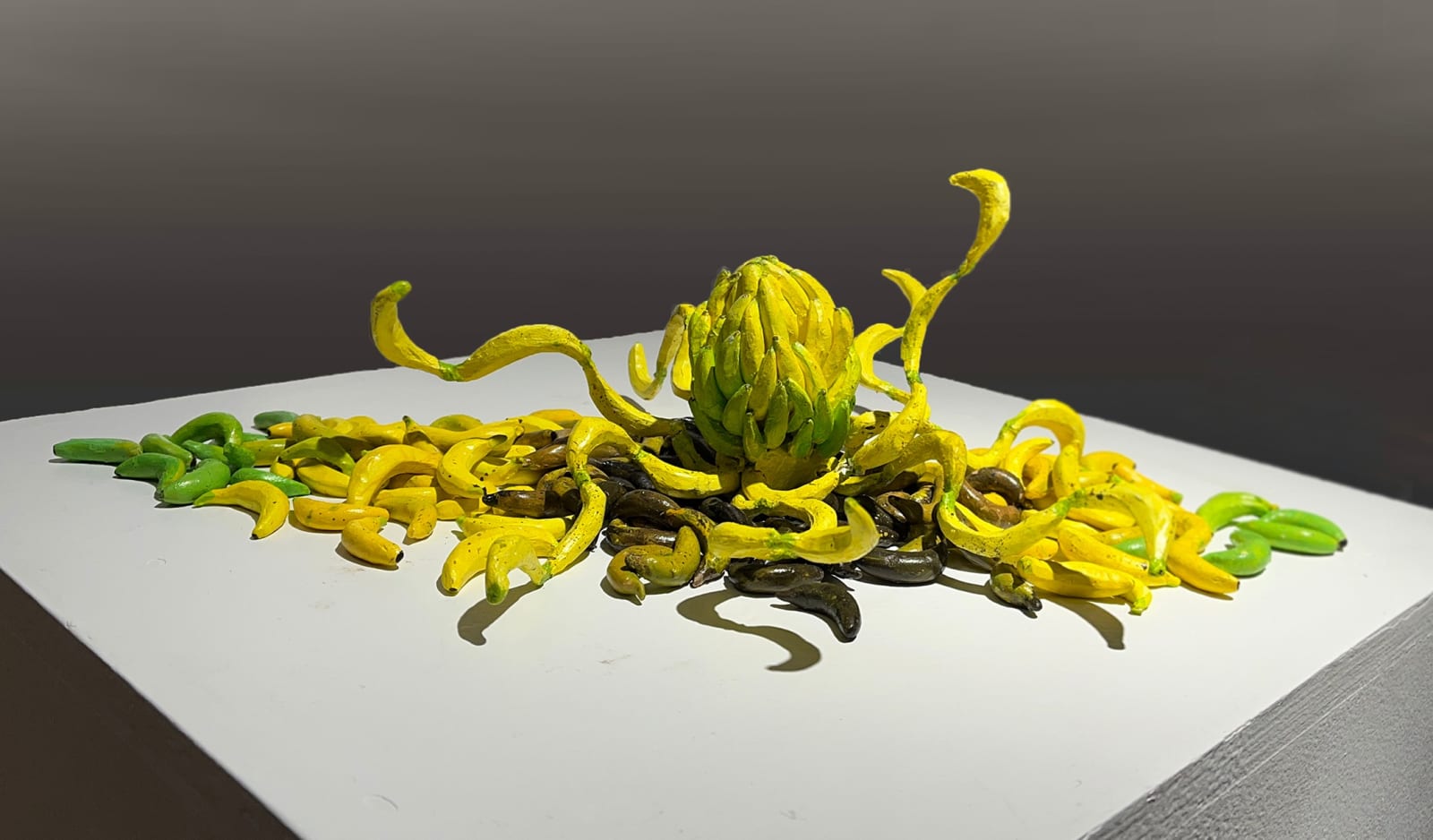 Audrey Rodriguez, El Pulpo, 2023