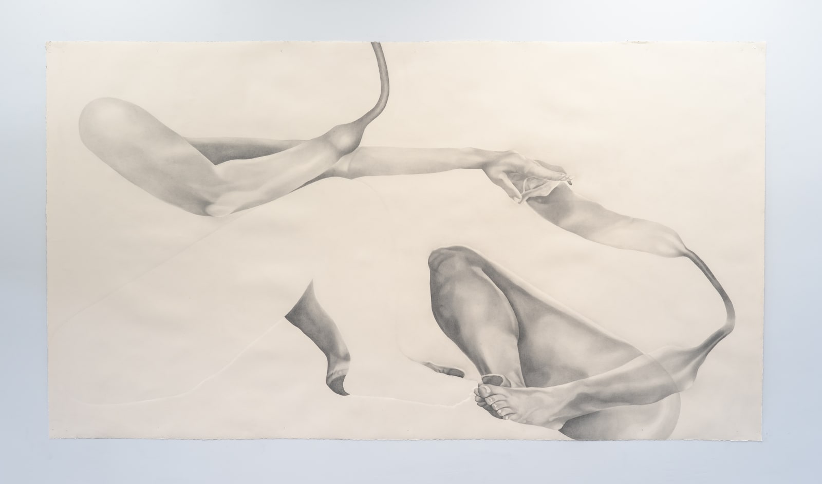 Selina Wagner, Which Points of My Compass Help You Pick Up Things, 2025