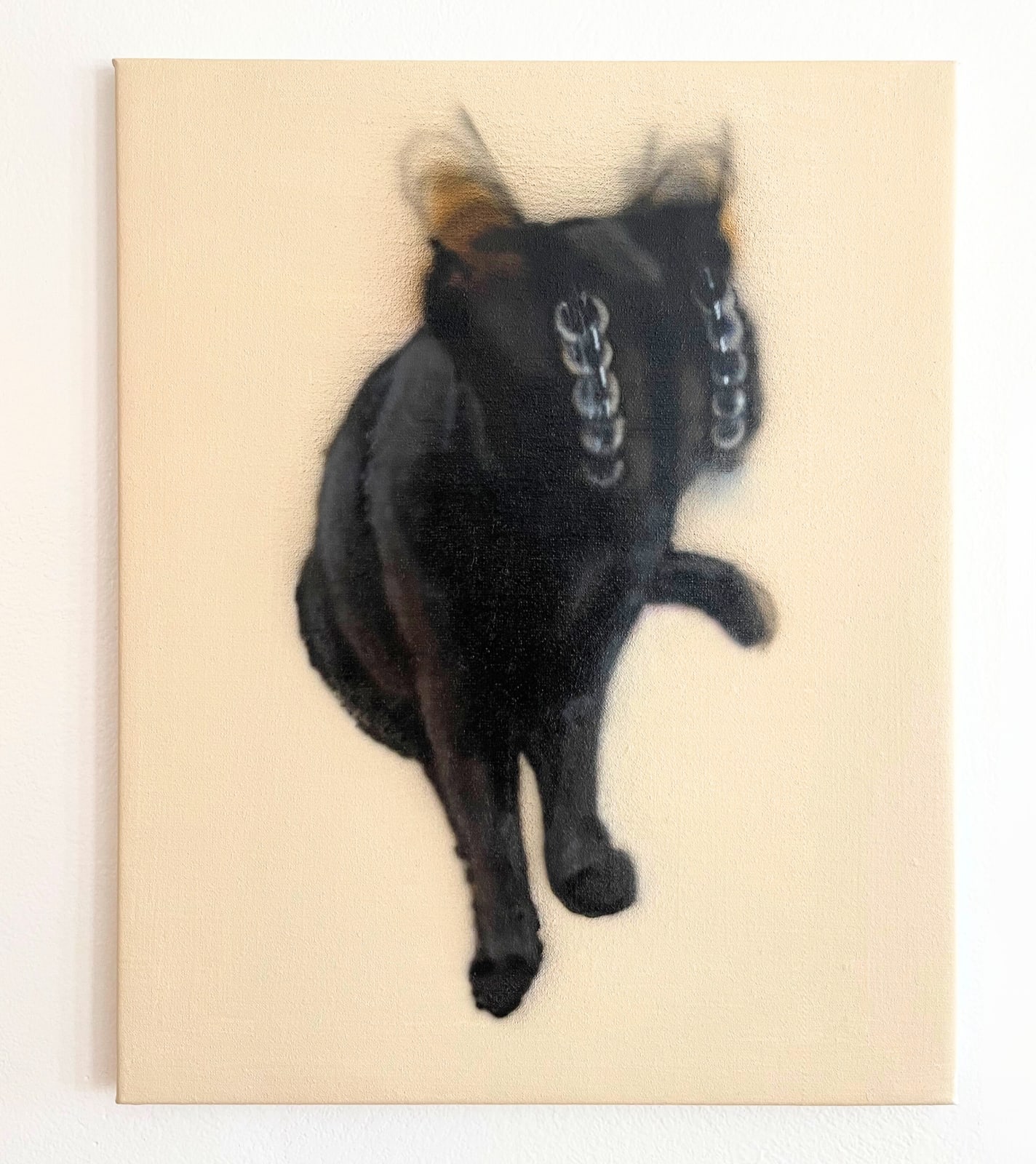 Patrick Quinn, Cat #6, 2023