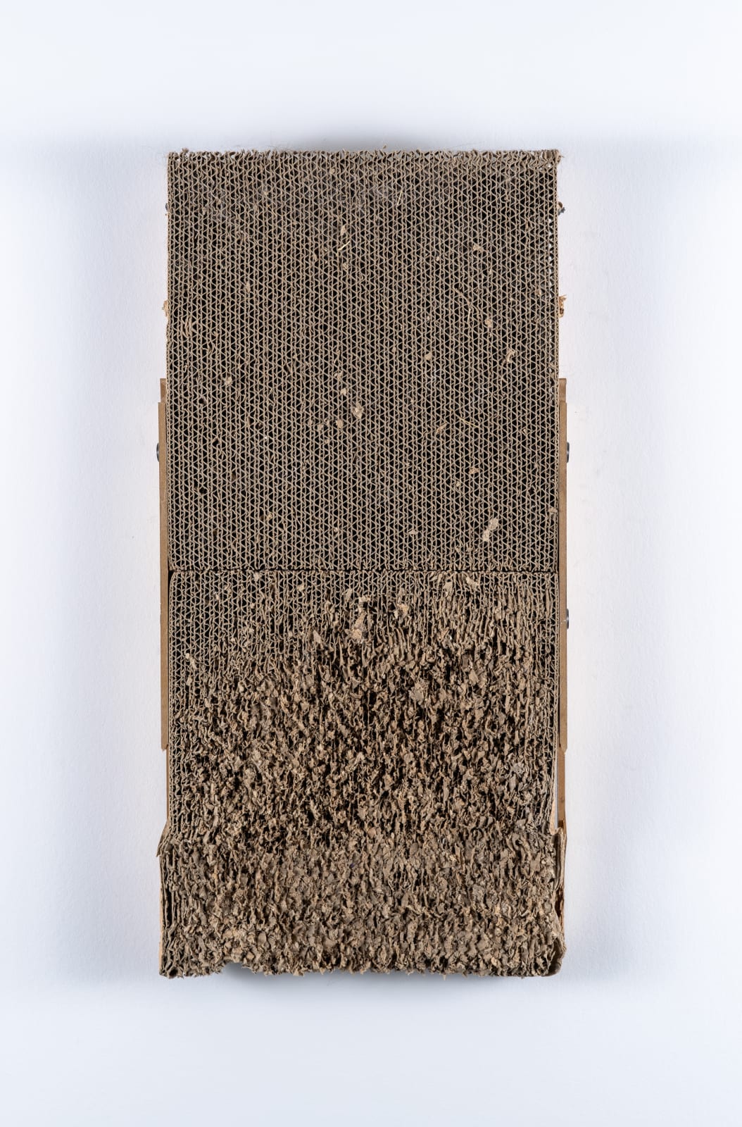 Nathan Anthony, Untitled, 2025