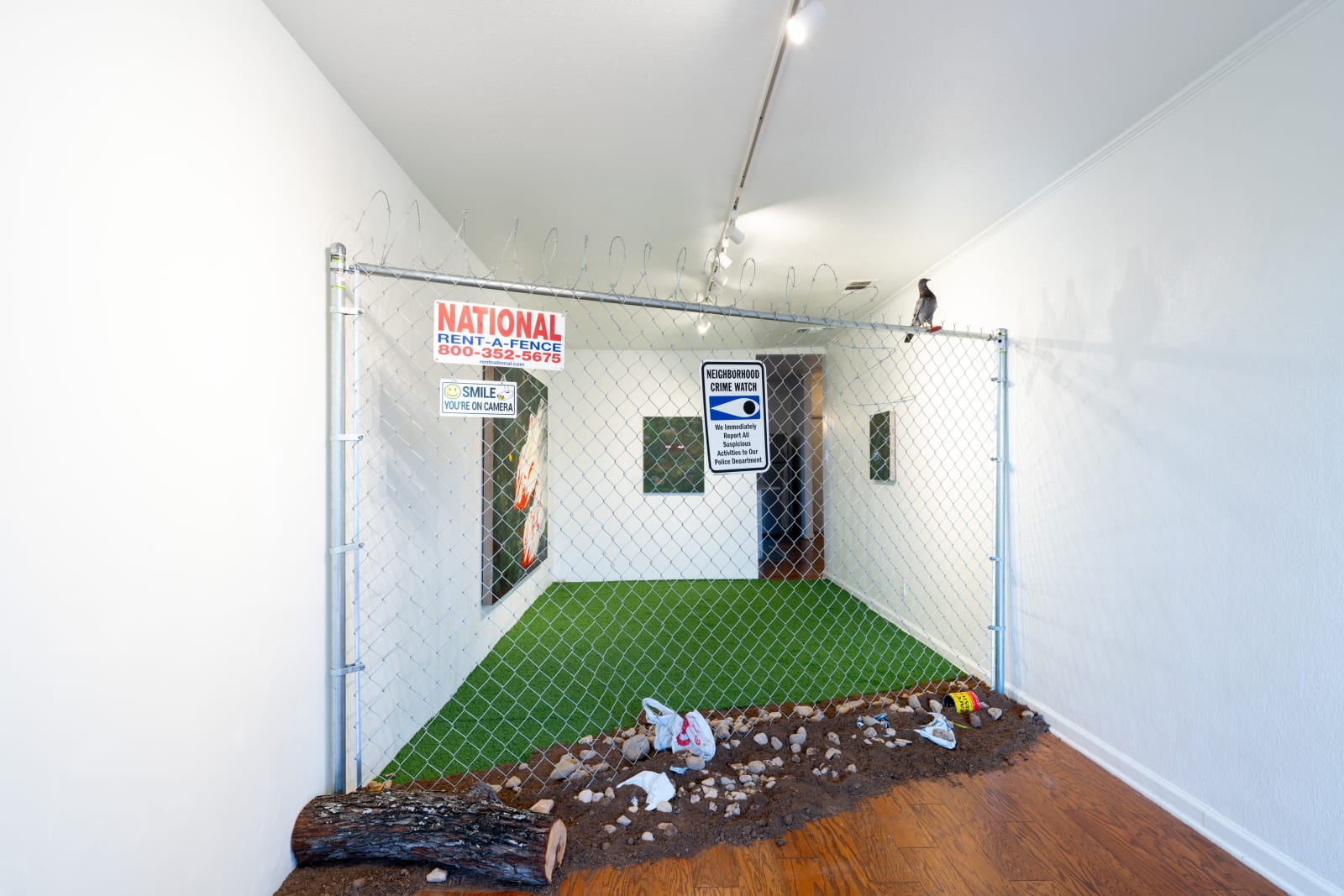Ben Siekierski, Eye Can See You, 2024