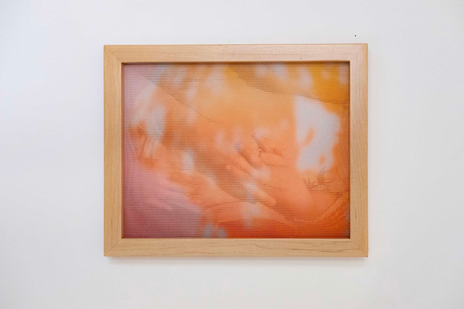 Rosie Clements, Touch, 2025