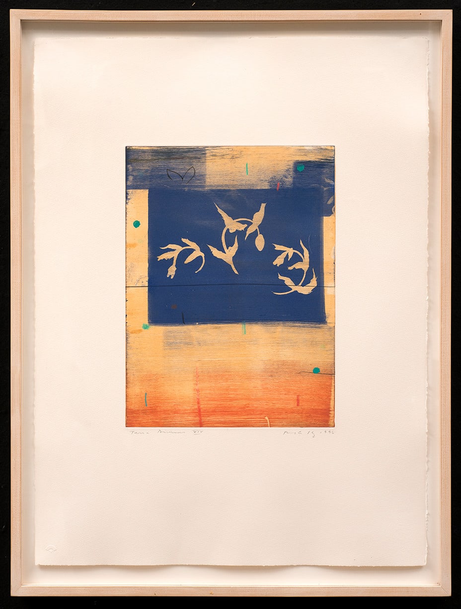 Robert Kelly, Terra Divinus XIV, 1996