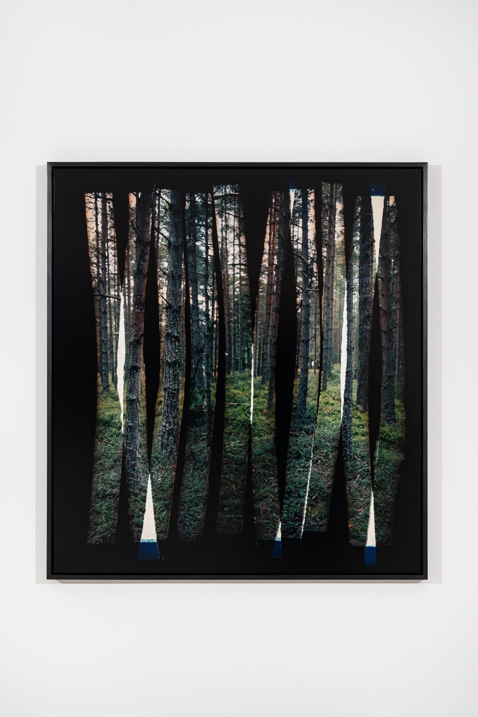 Aliki Braine, Into The Woods, Shredded (2), 2023