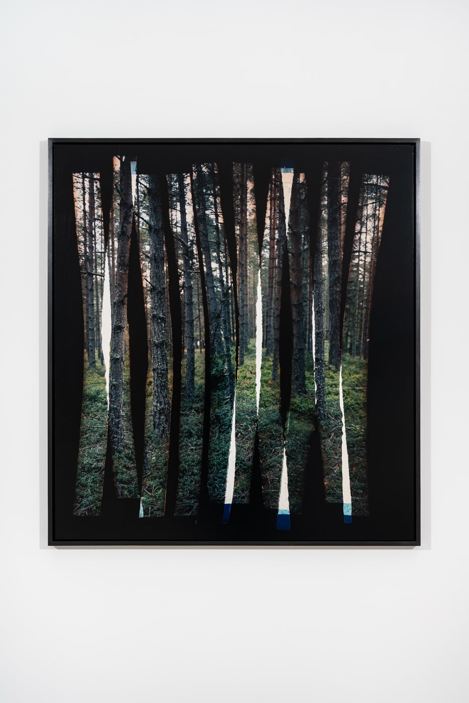 Aliki Braine, Into The Woods, Shredded (1), 2023