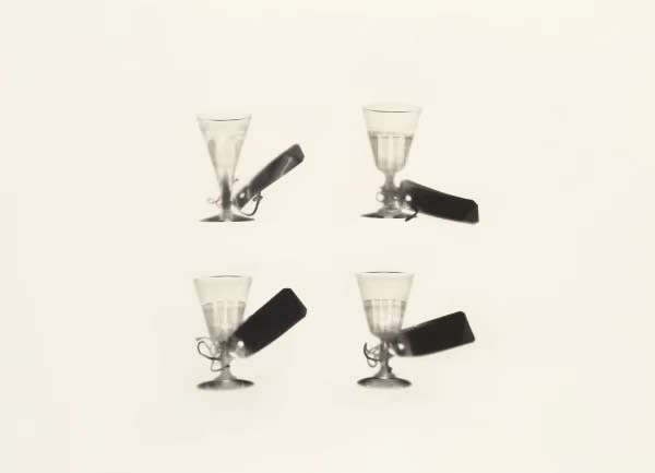 Cornelia Parker, Fox Talbot’s Articles of Glass (tagged glasses), 2017
