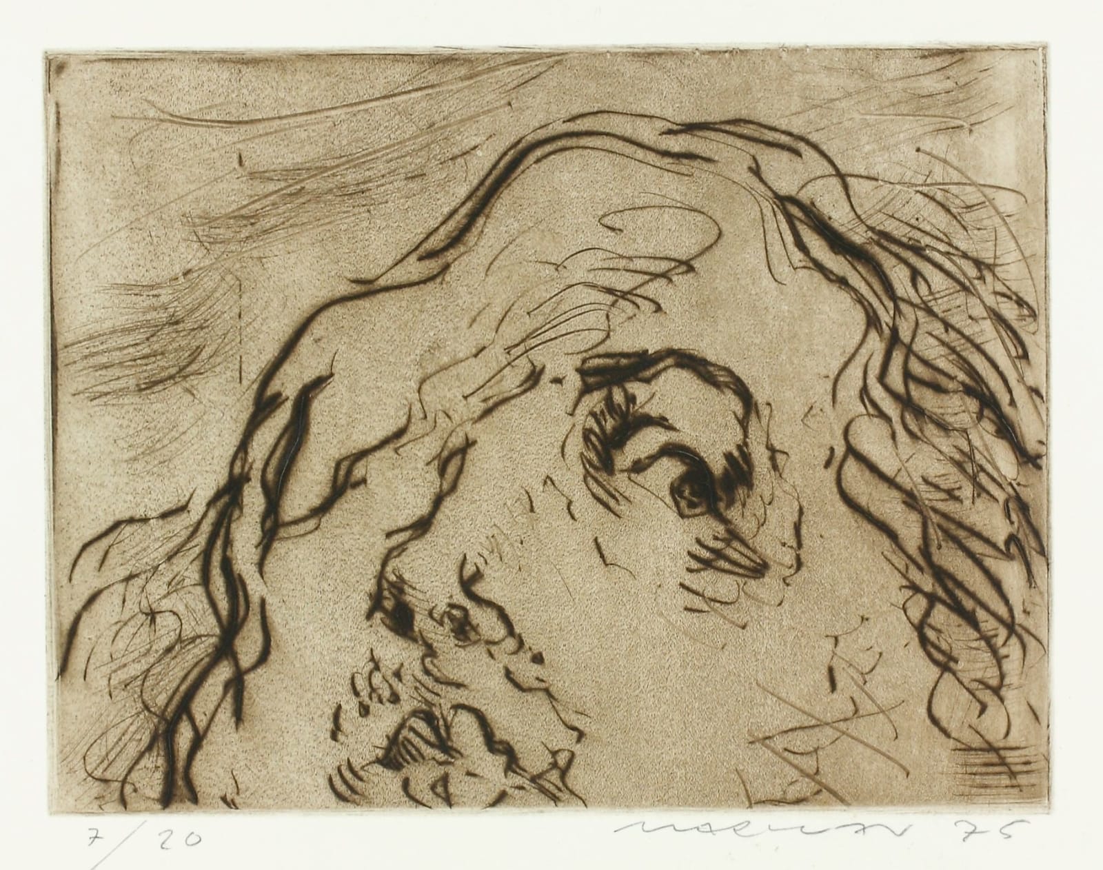 Marwan, Gesichtslandschaft, 1975