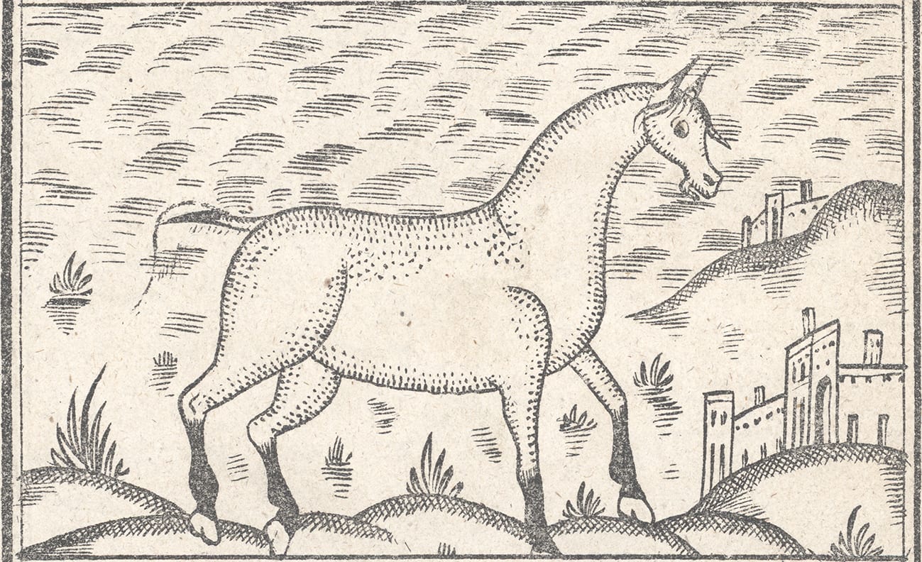 Qajar Era, Khawas al-Hawayan