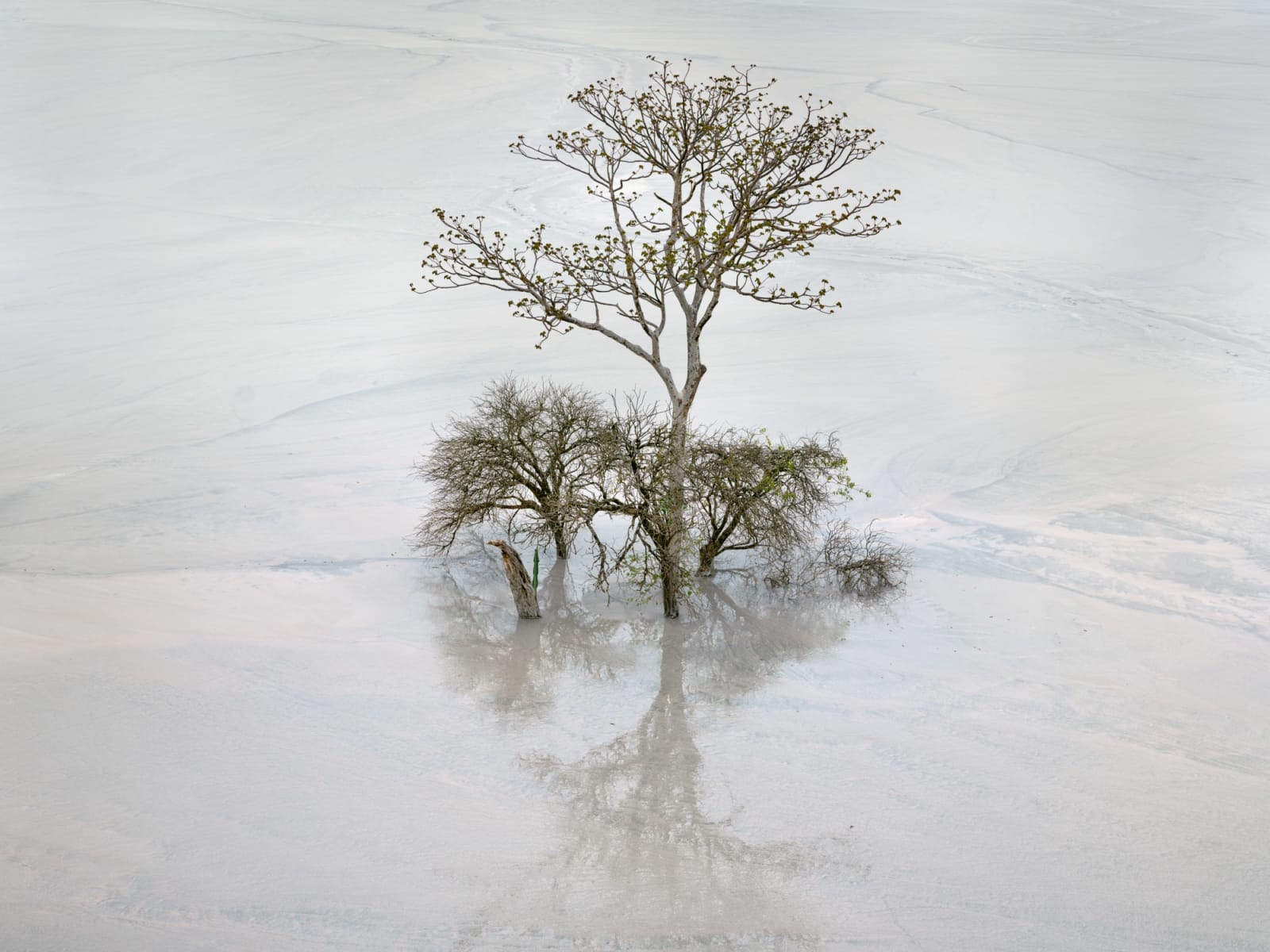 Edward Burtynsky, Tailings Pond #1, Kamoa Kakula, Democratic Republic of Congo, 2024