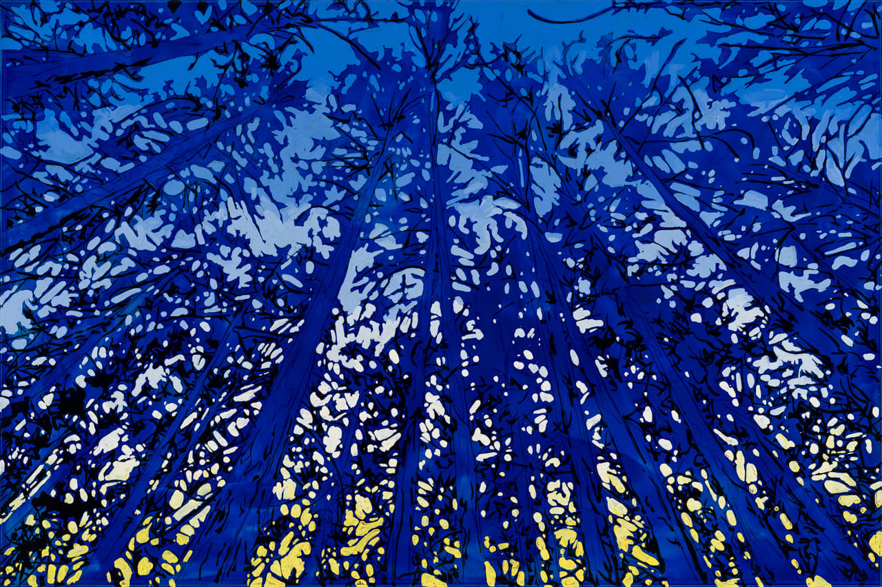 There is a clearing up ahead, 2025