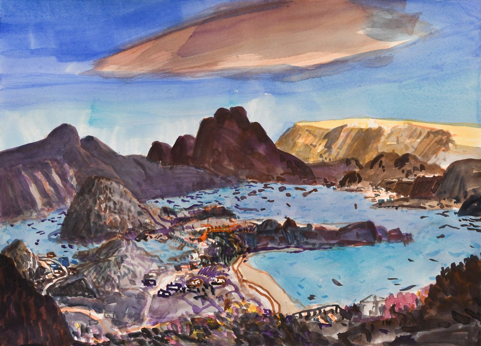 John Hartman, Woody Point and Birchy Head from above Norris Point, 2022