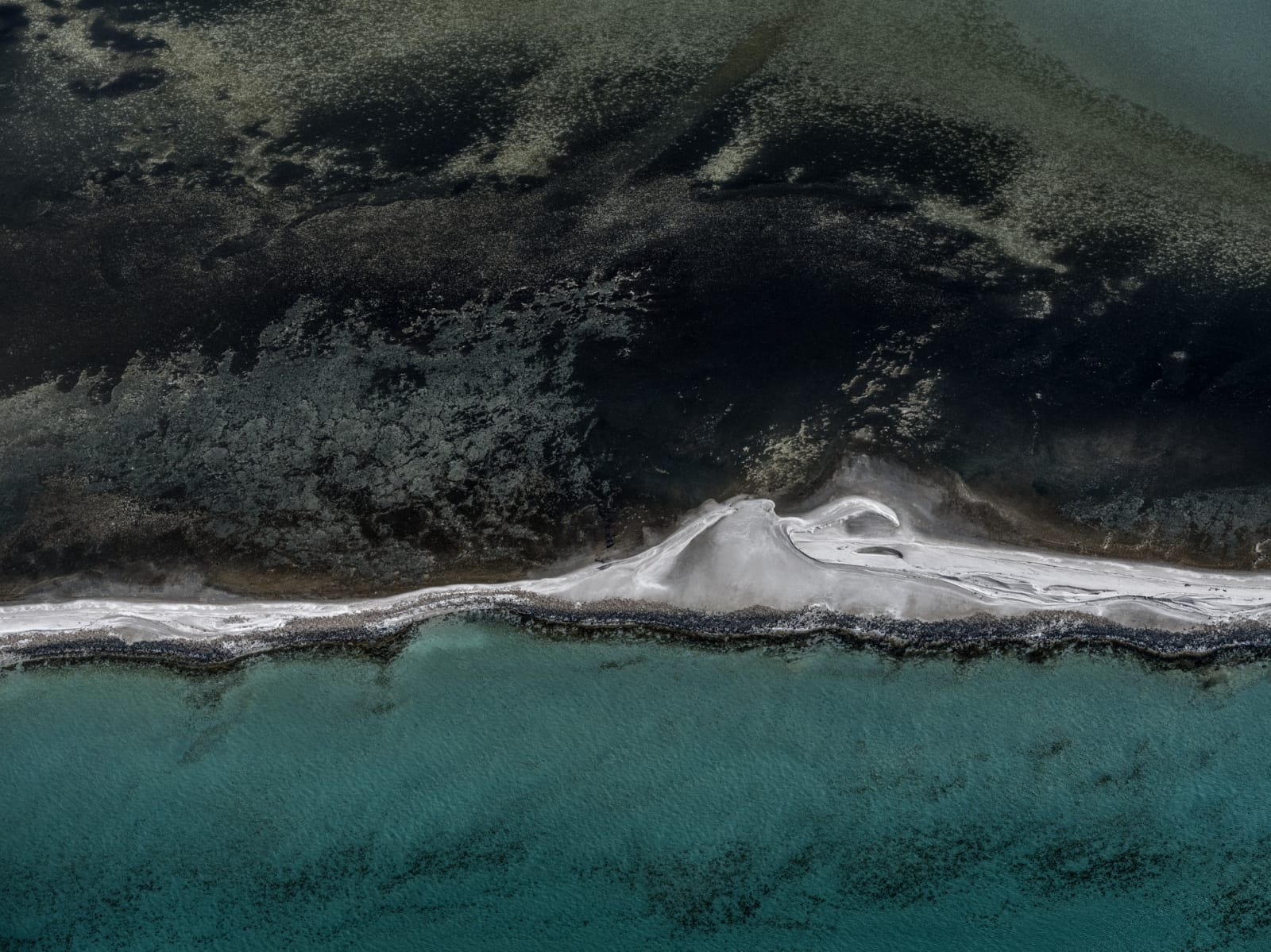 Shell Beach #1, Shark Bay, WA, Australia, 2025