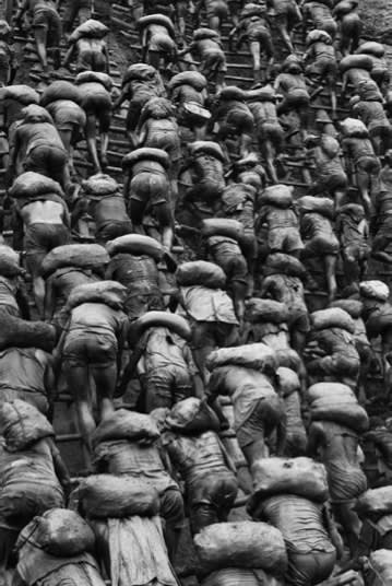 Sebastião Salgado, Ladder, The Gold Mine at Serra Pelada, State of Para, Brazil, 1986