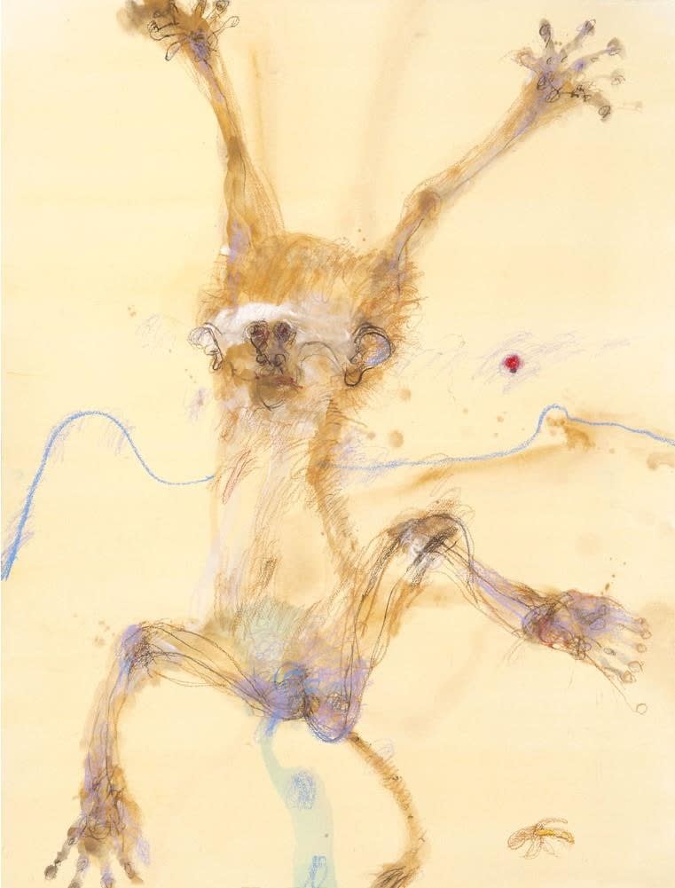 John Olsen, Monkey II