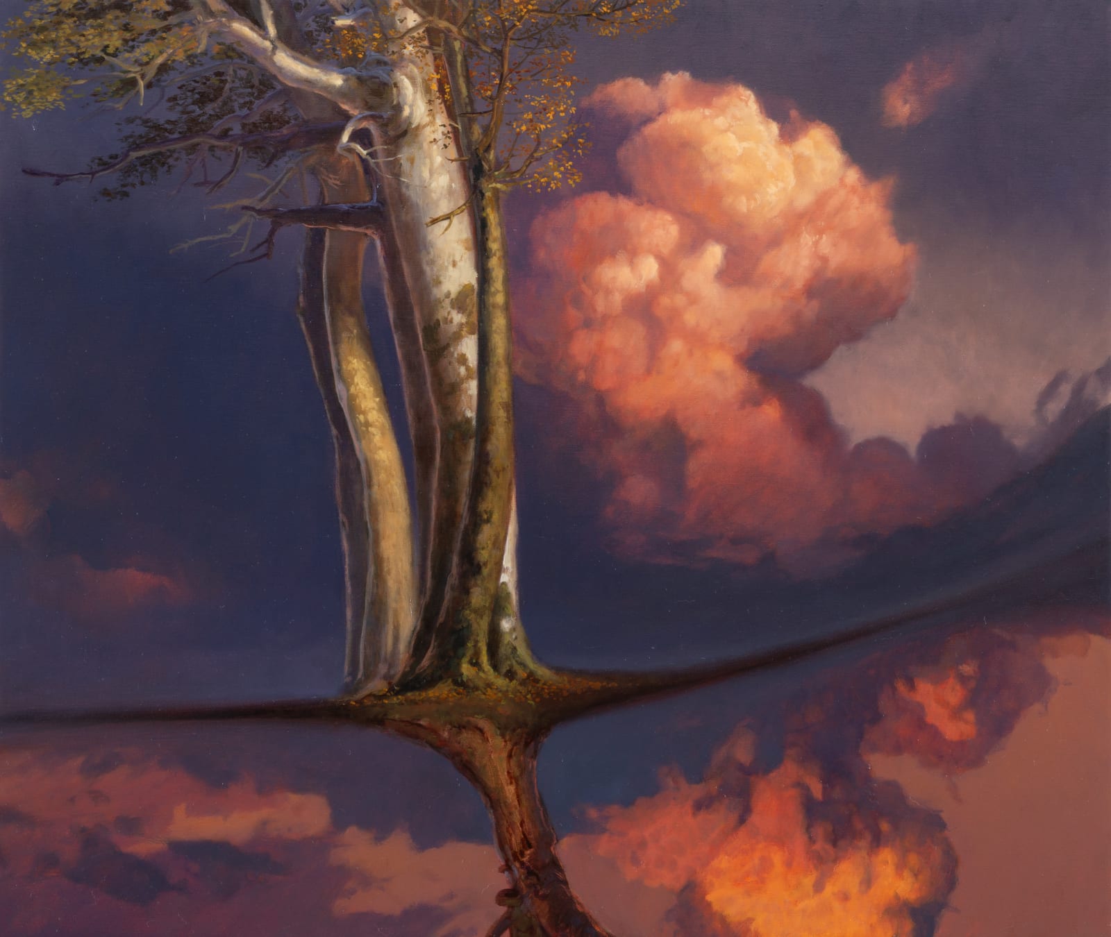 Jason Cordero, Where decision was made, 2025