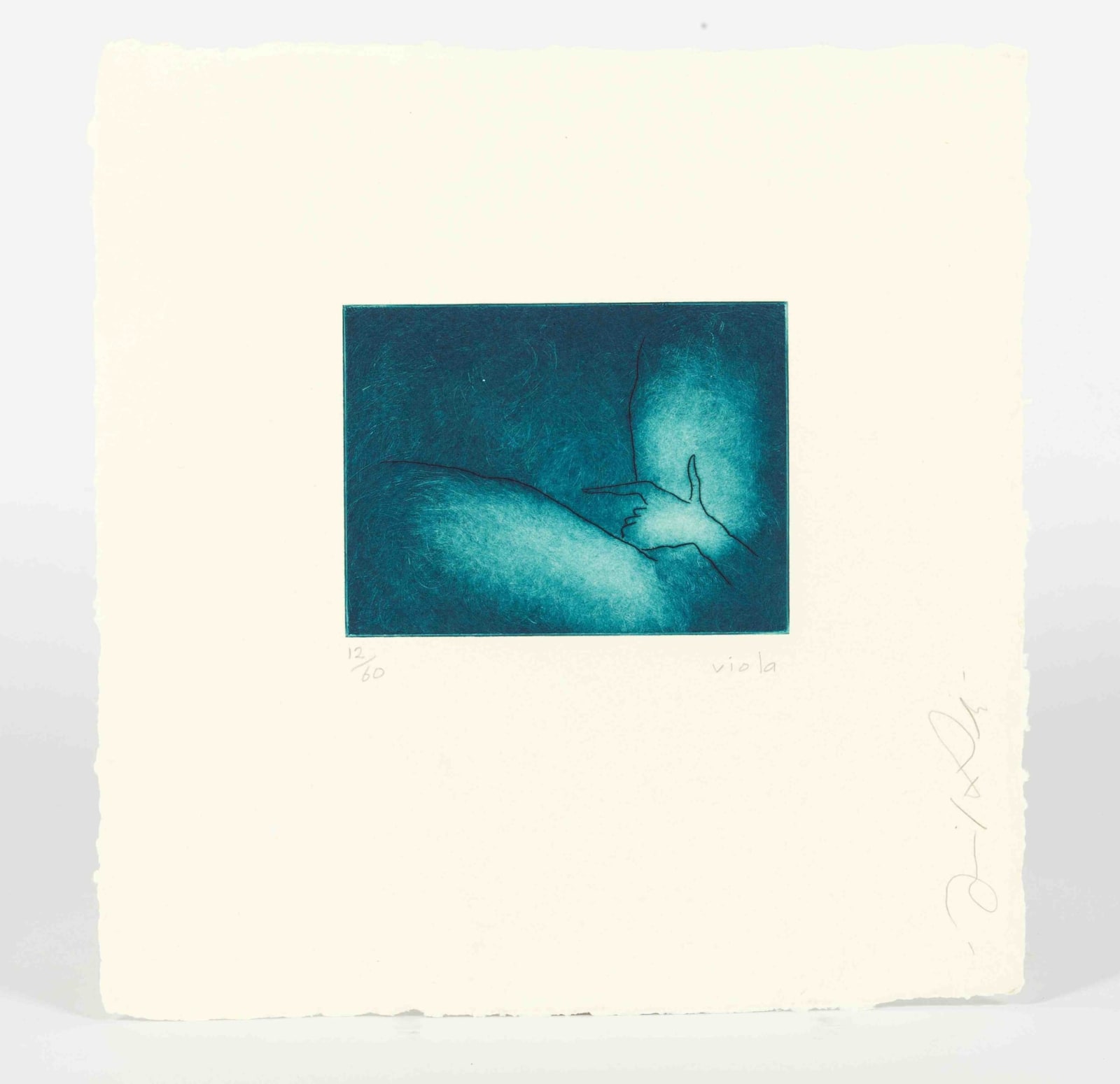 David Laity, Viola, 2005