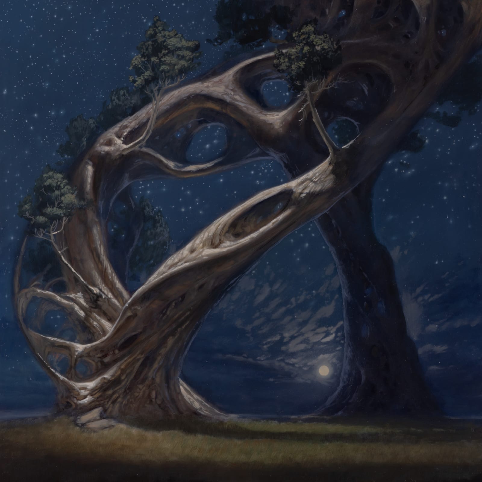 Jason Cordero, So far as I recall, 2025