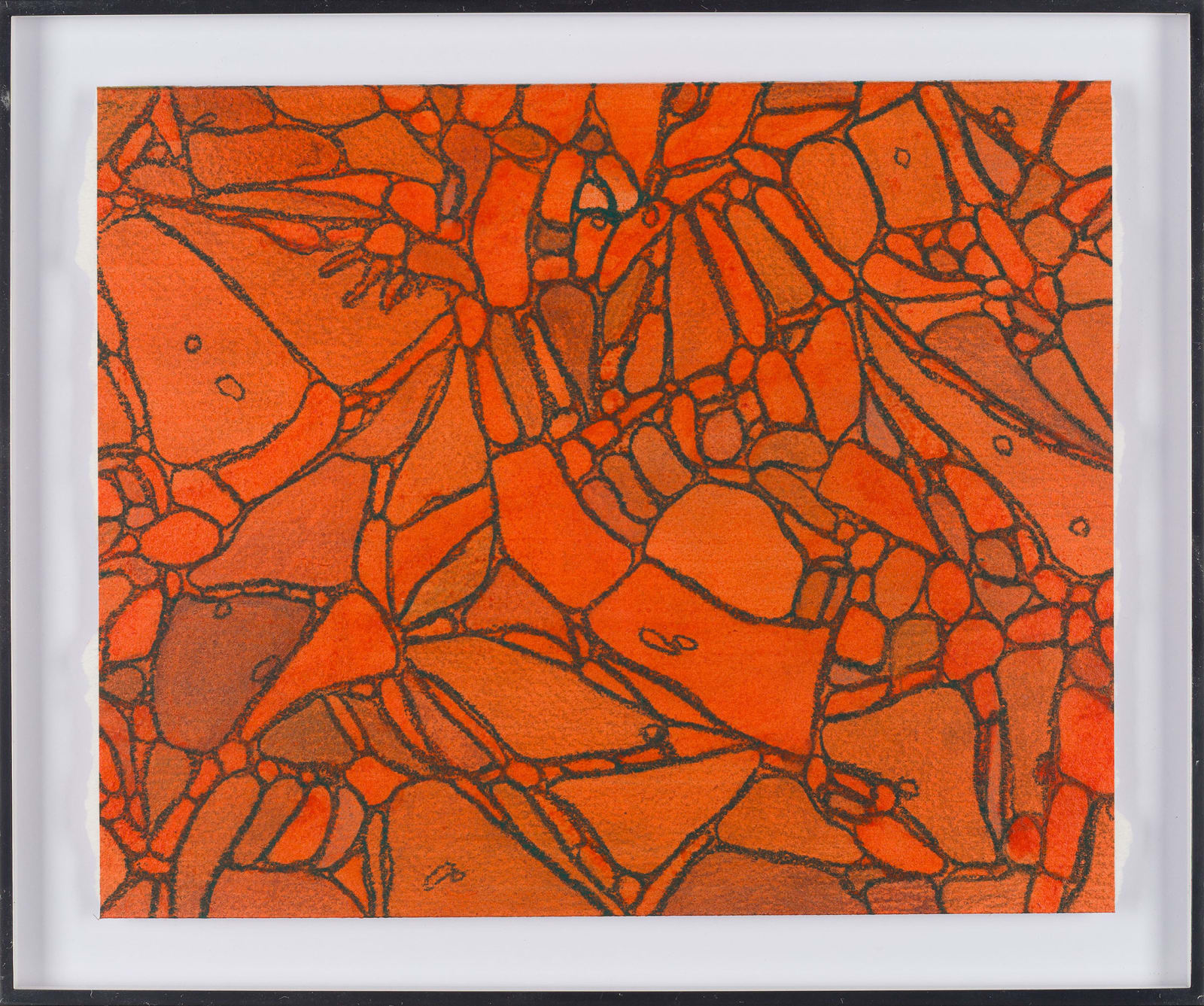 Sean McDowell, From Chromatophores #5, 2024