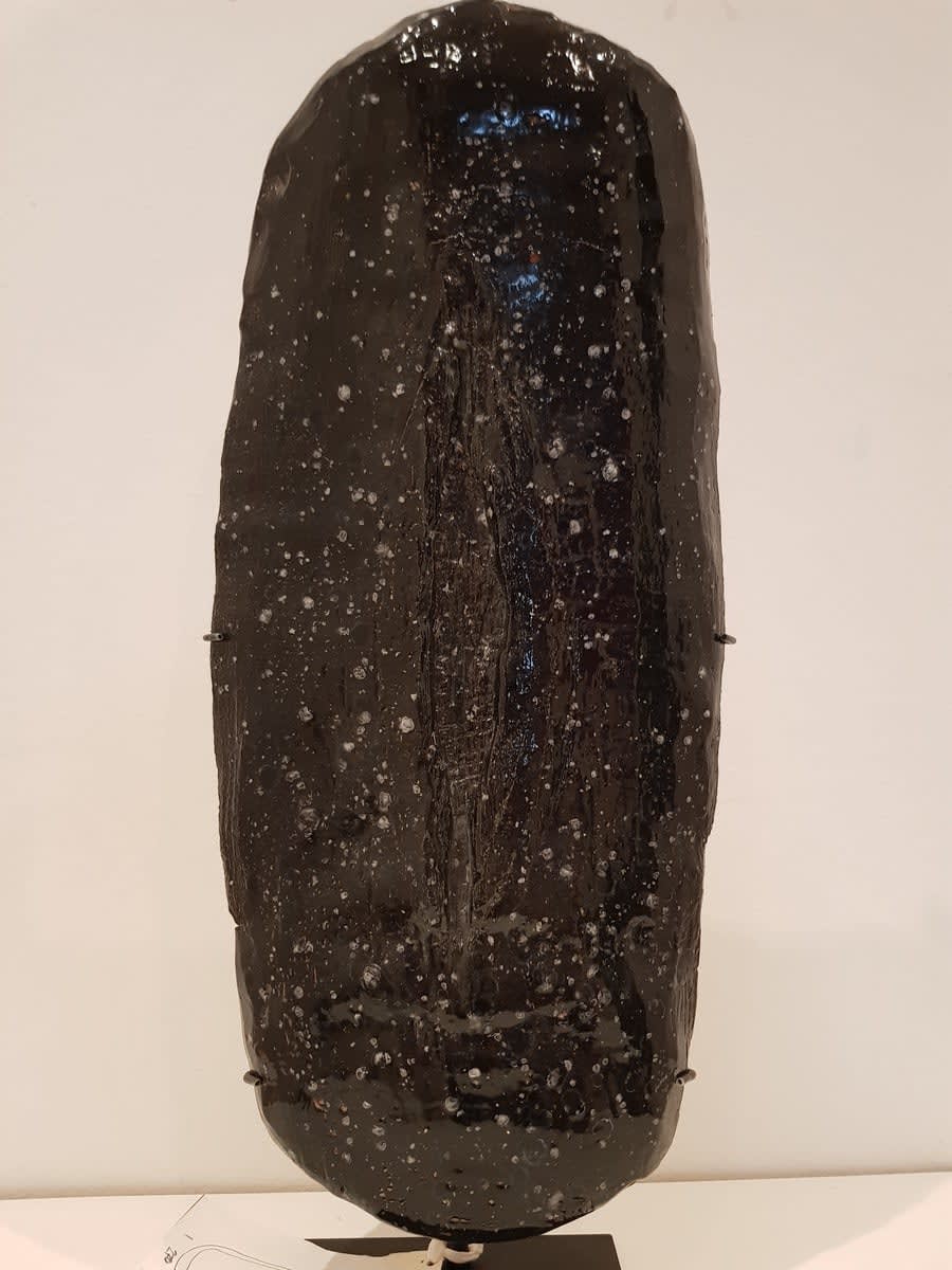 Raymond Young, Shield #7