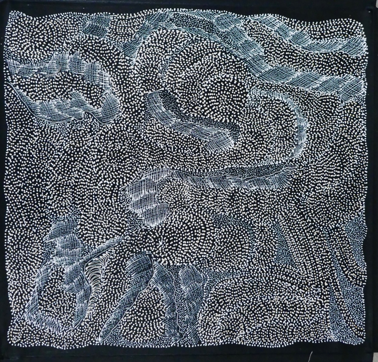 Jorna Newberry, Ngayuju Ngura - My Country, 2019