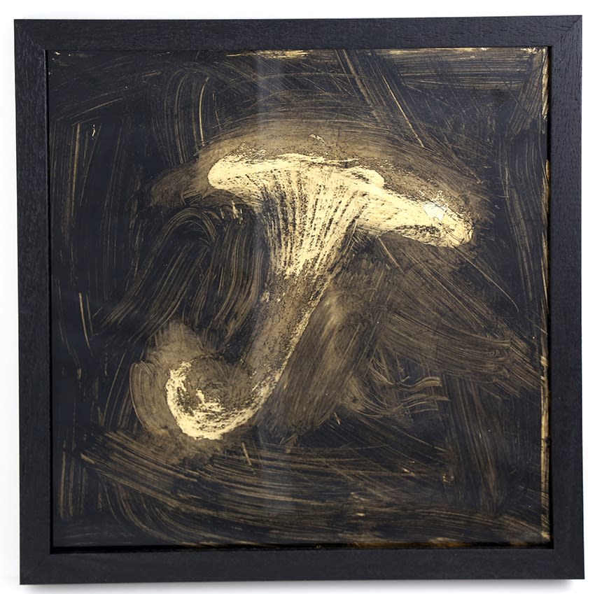 Louis Pratt, Gold Cap, 2017