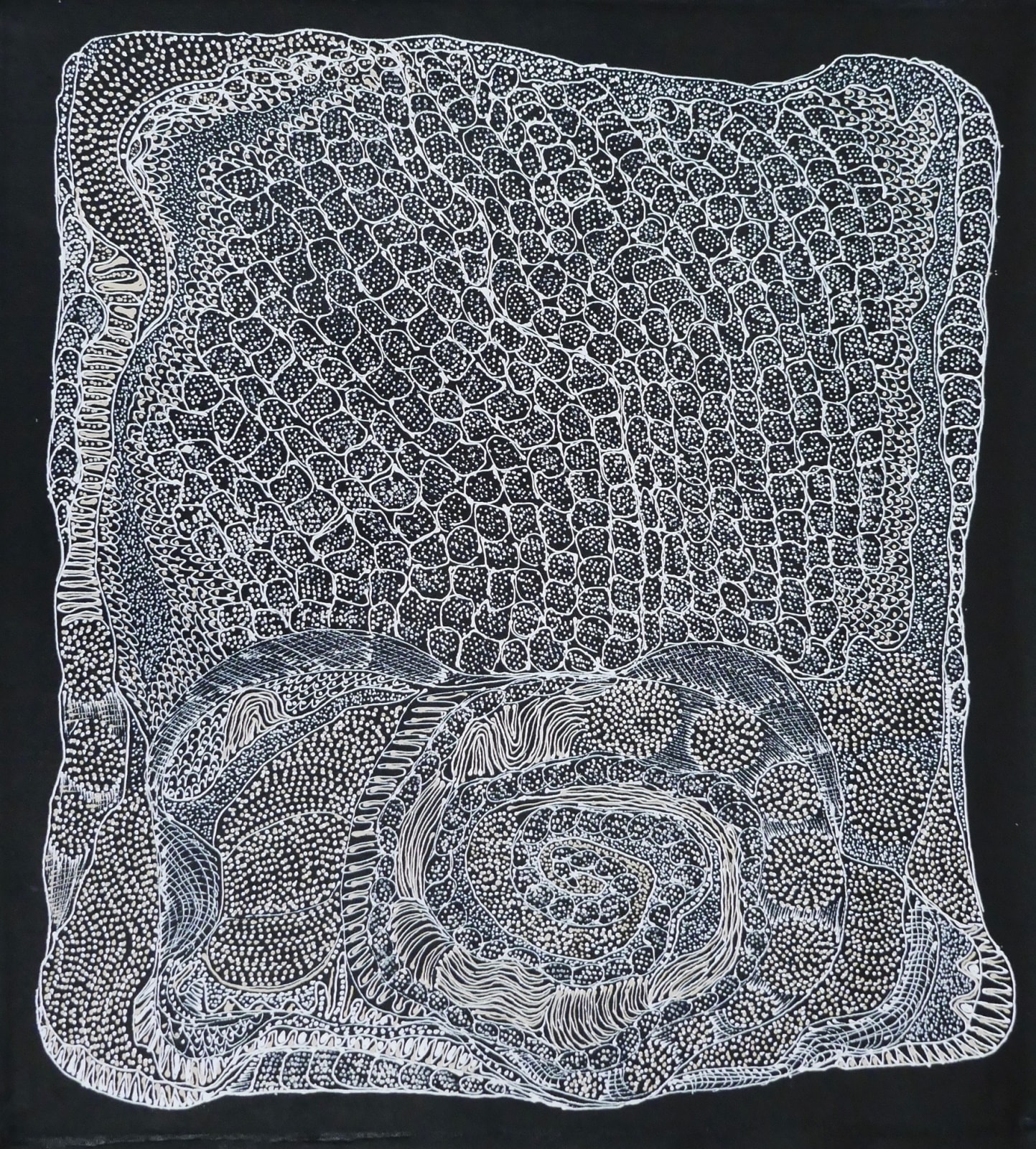 Jorna Newberry, Ngintaka - Perentie, 2020