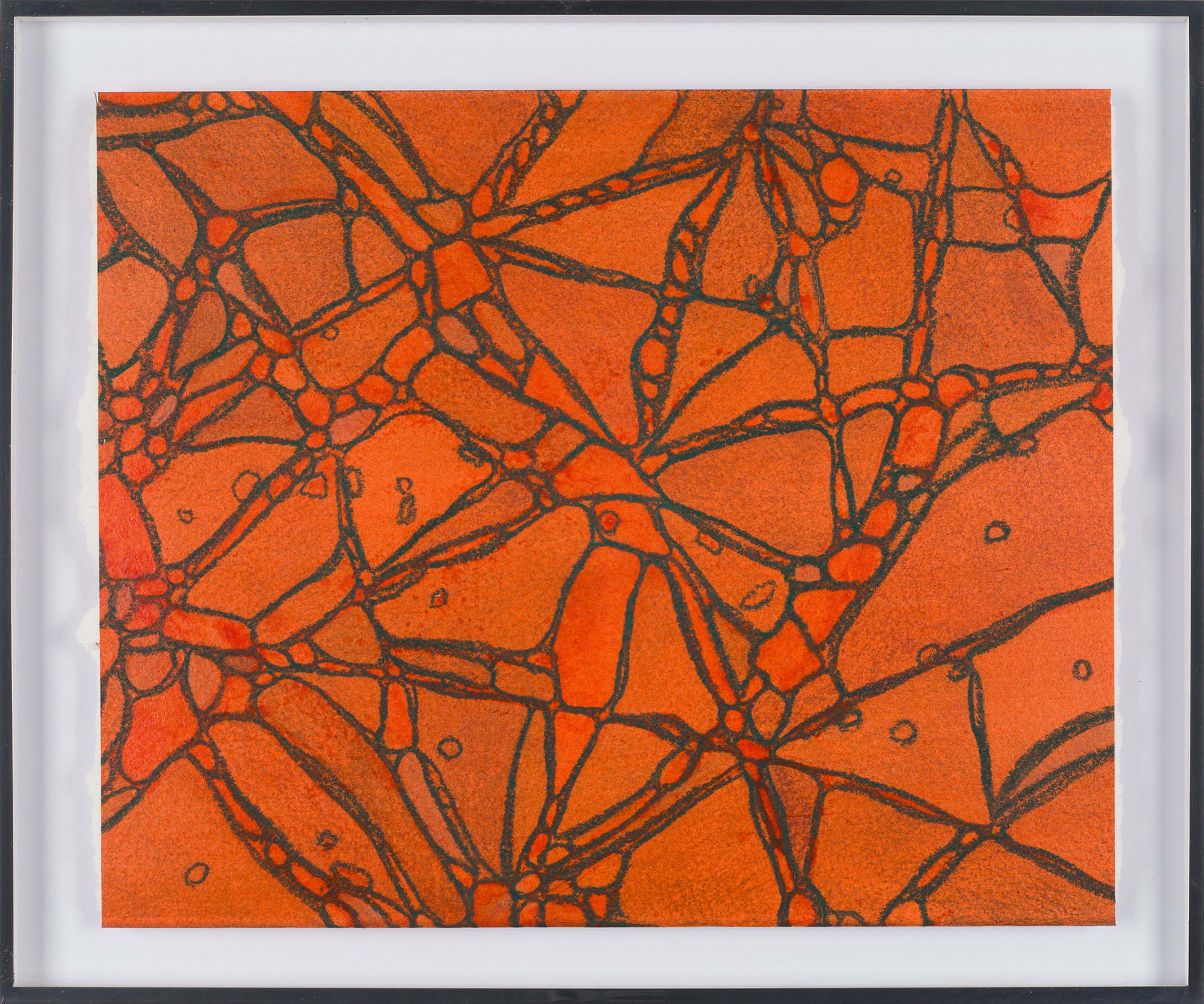 Sean McDowell, From Chromatophores #4, 2024