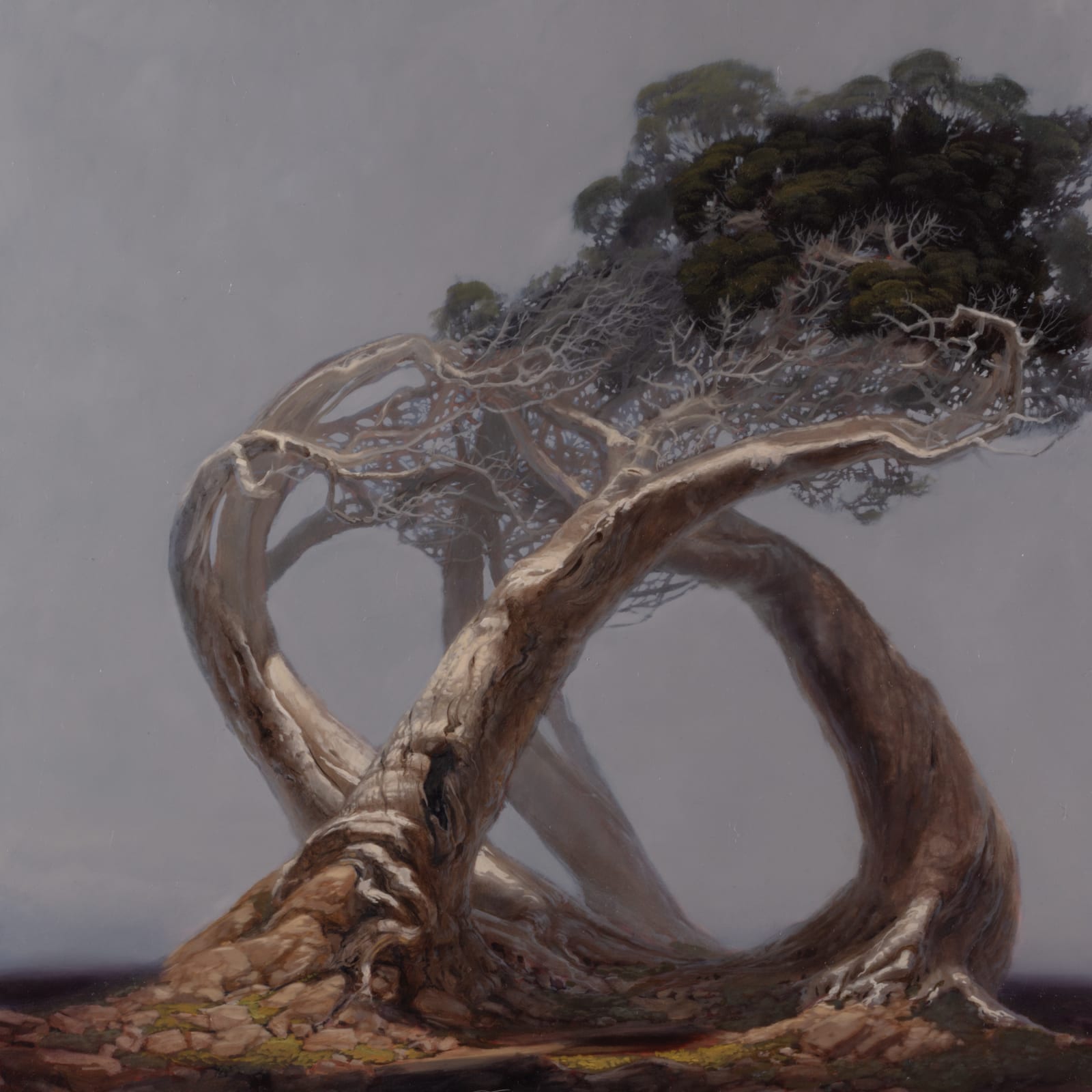 Jason Cordero, The conjunction of the winds, 2025