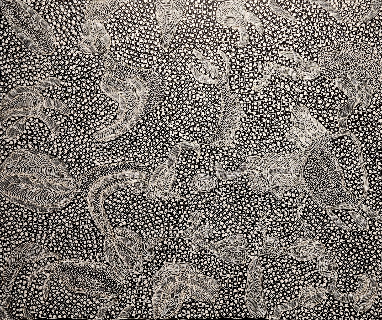 Jorna Newberry, Ngintaka - Perentie #39