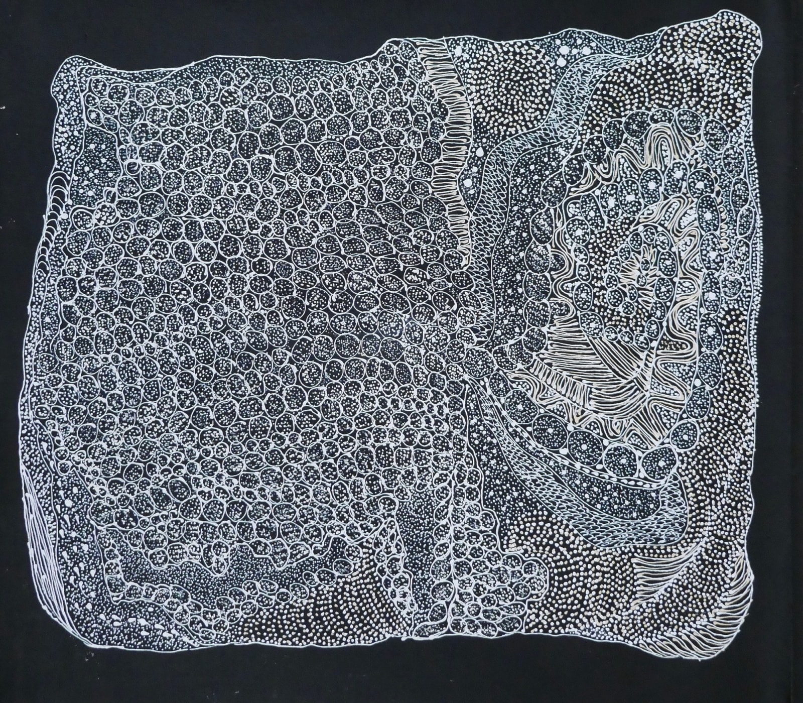 Jorna Newberry, Ngintaka - Perentie, 2020