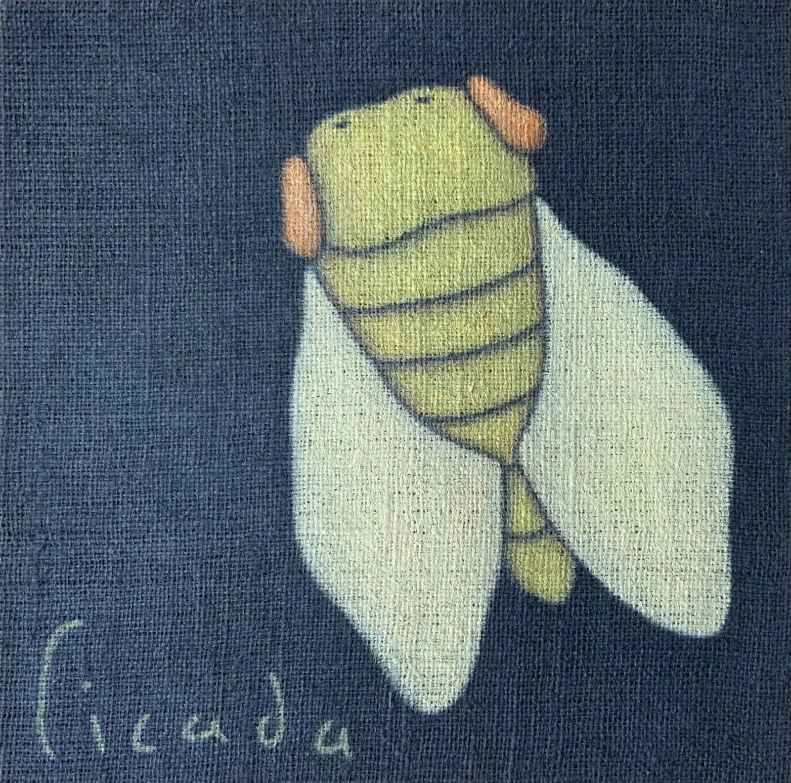 David Laity, Cicada, 2017
