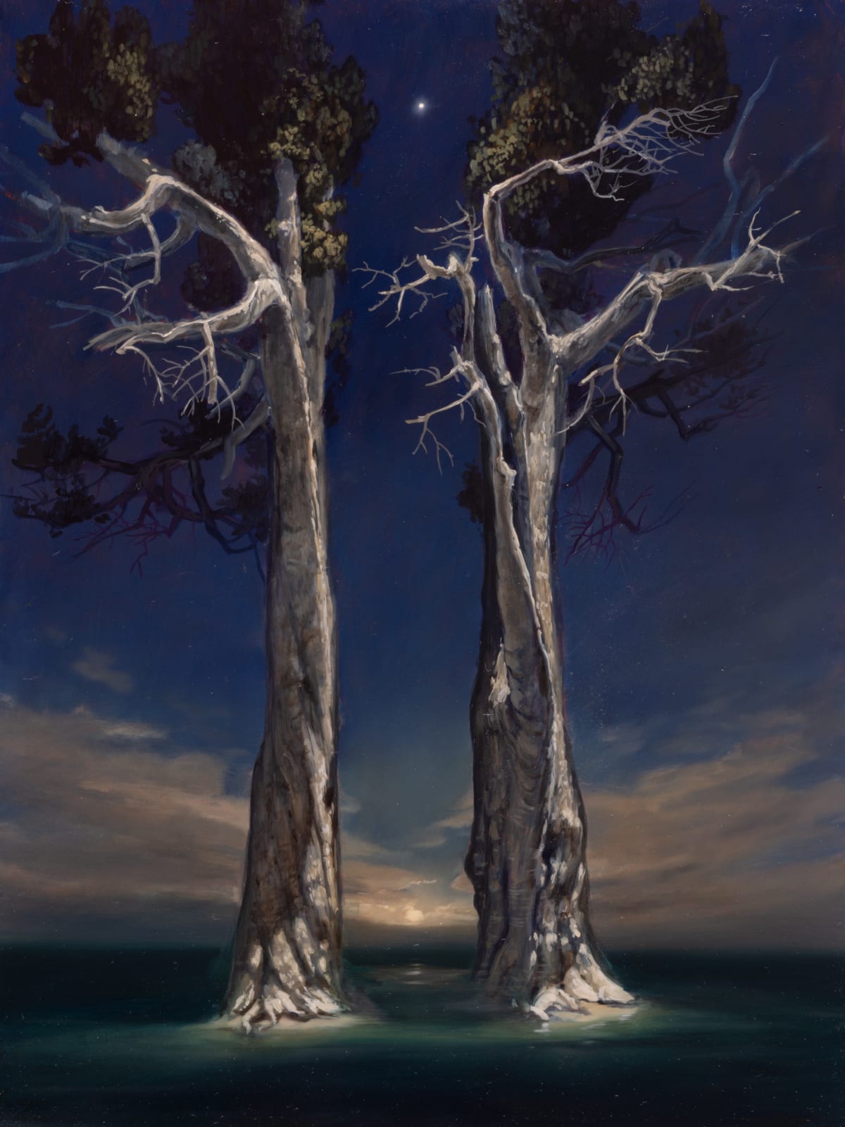 Jason Cordero, Between morning and evening, 2025