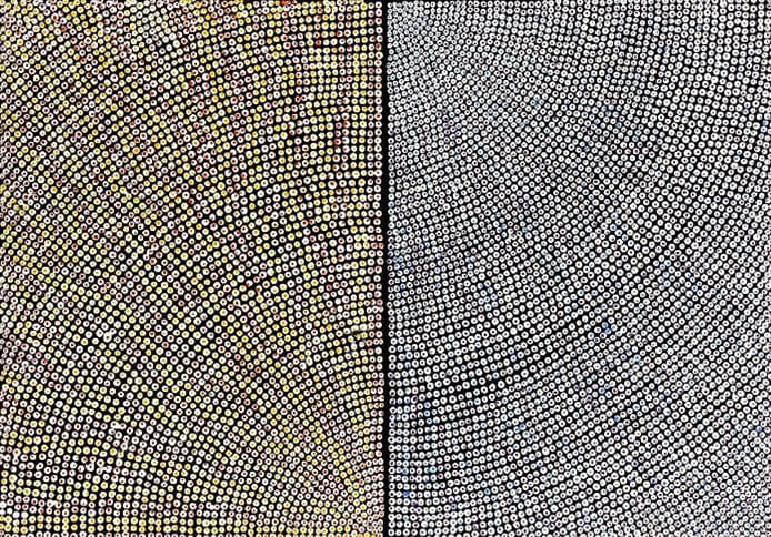 Cheryl Wilson, Aretharre TACW07C1697 (diptych), 2007