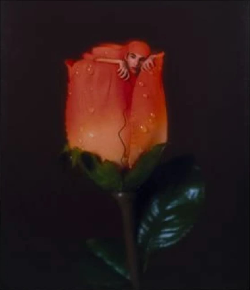 Locu Locu, Rose Self / Flower Self, 2002