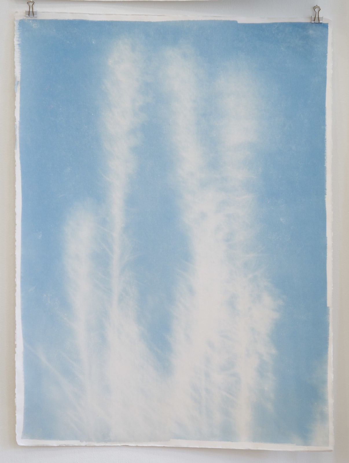 Silke Schatz, Solidago gigantea, (oberer Teil), 2021