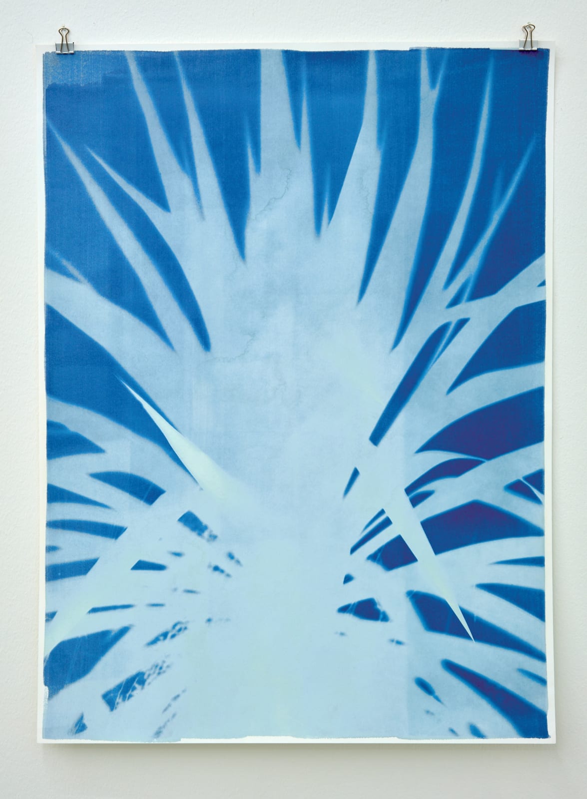 Silke Schatz, Yucca II, 29th sept 2022, 2022