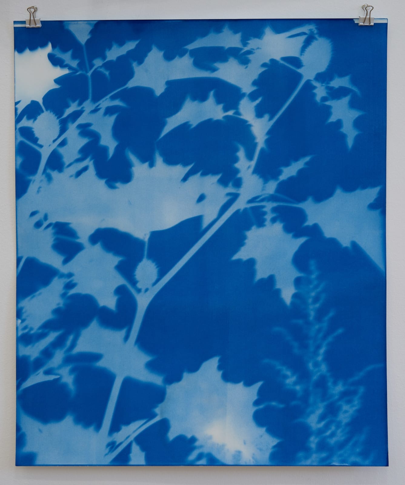 Silke Schatz, Datura II, 2022