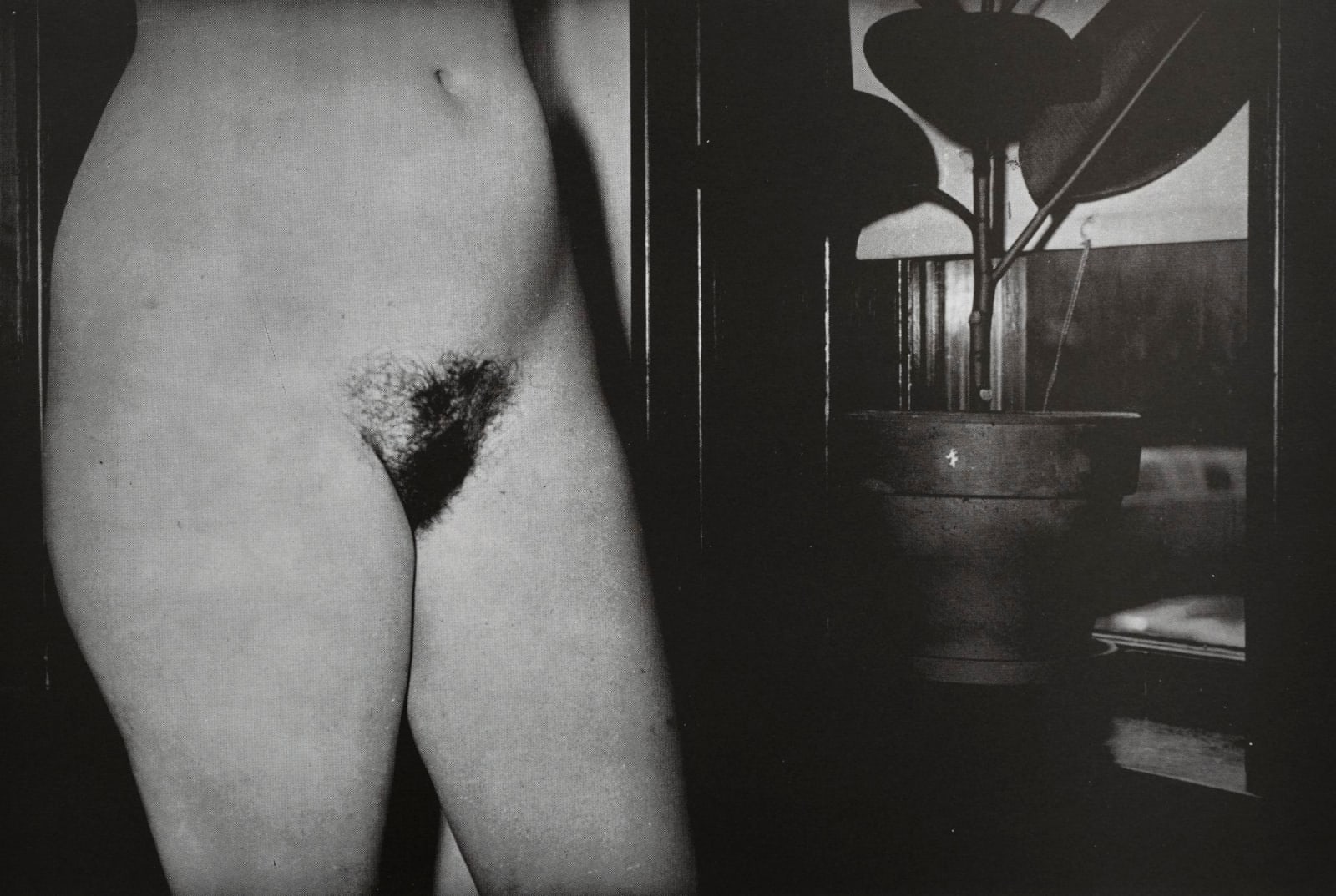 Jimmy DeSana, 101 Nudes, 1972/1991