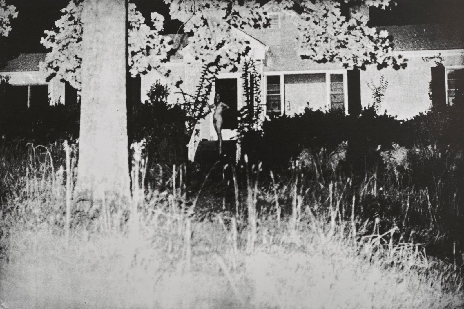 Jimmy DeSana, 101 Nudes, 1972/1991