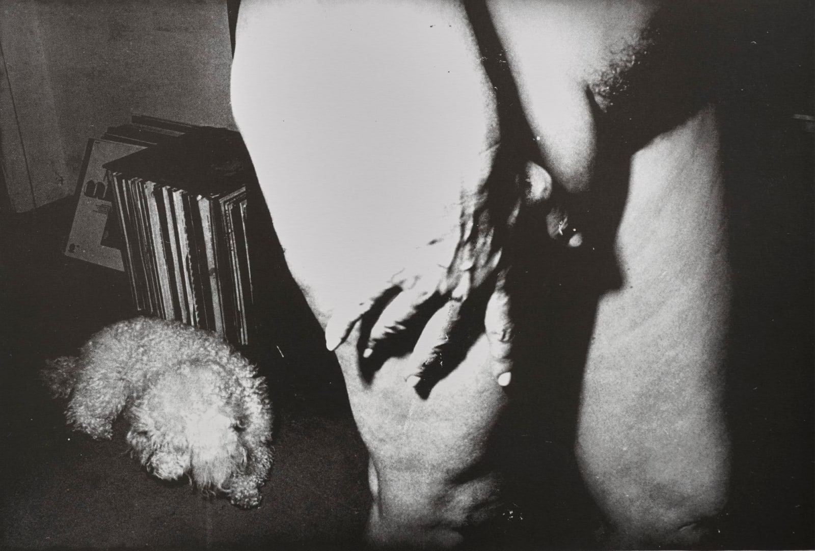 Jimmy DeSana, 101 Nudes, 1972/1991