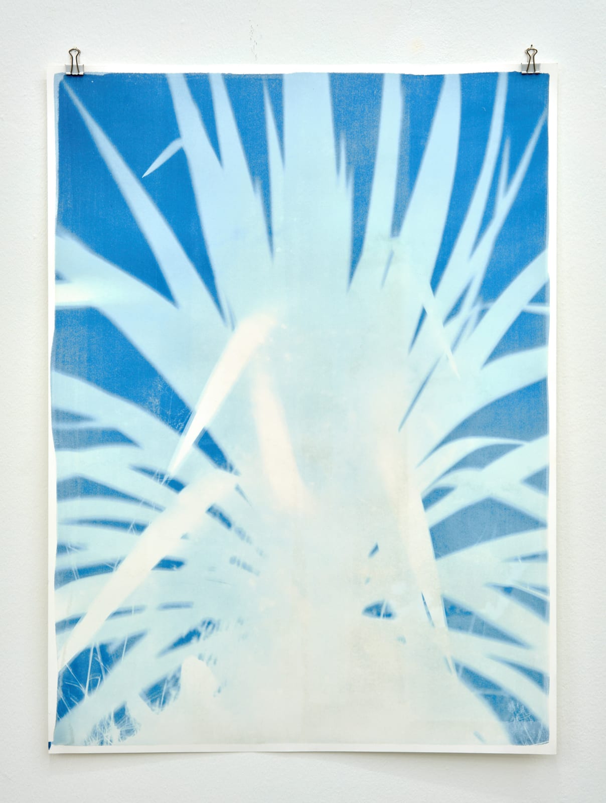 Silke Schatz, Yucca I, 31st aug. 2022, 2022