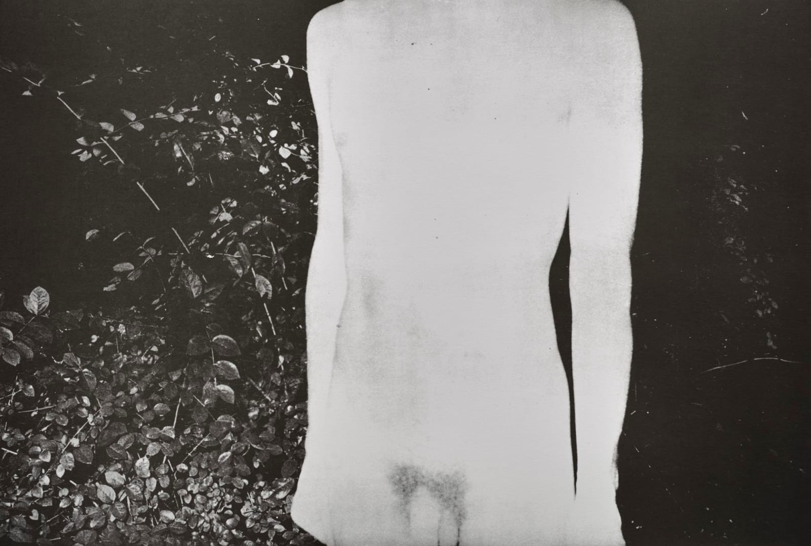 Jimmy DeSana, 101 Nudes, 1972/1991
