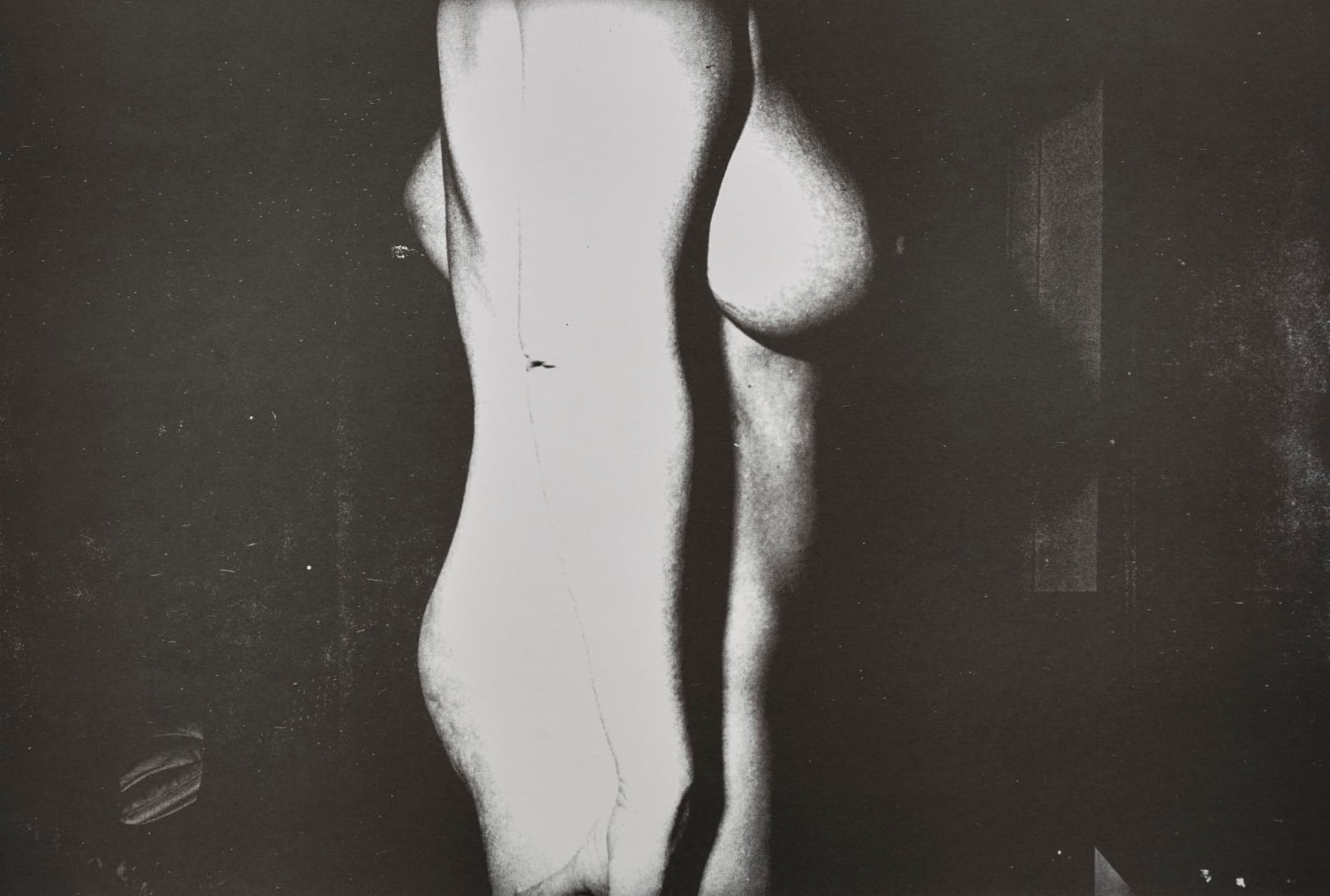 Jimmy DeSana, 101 Nudes, 1972/1991