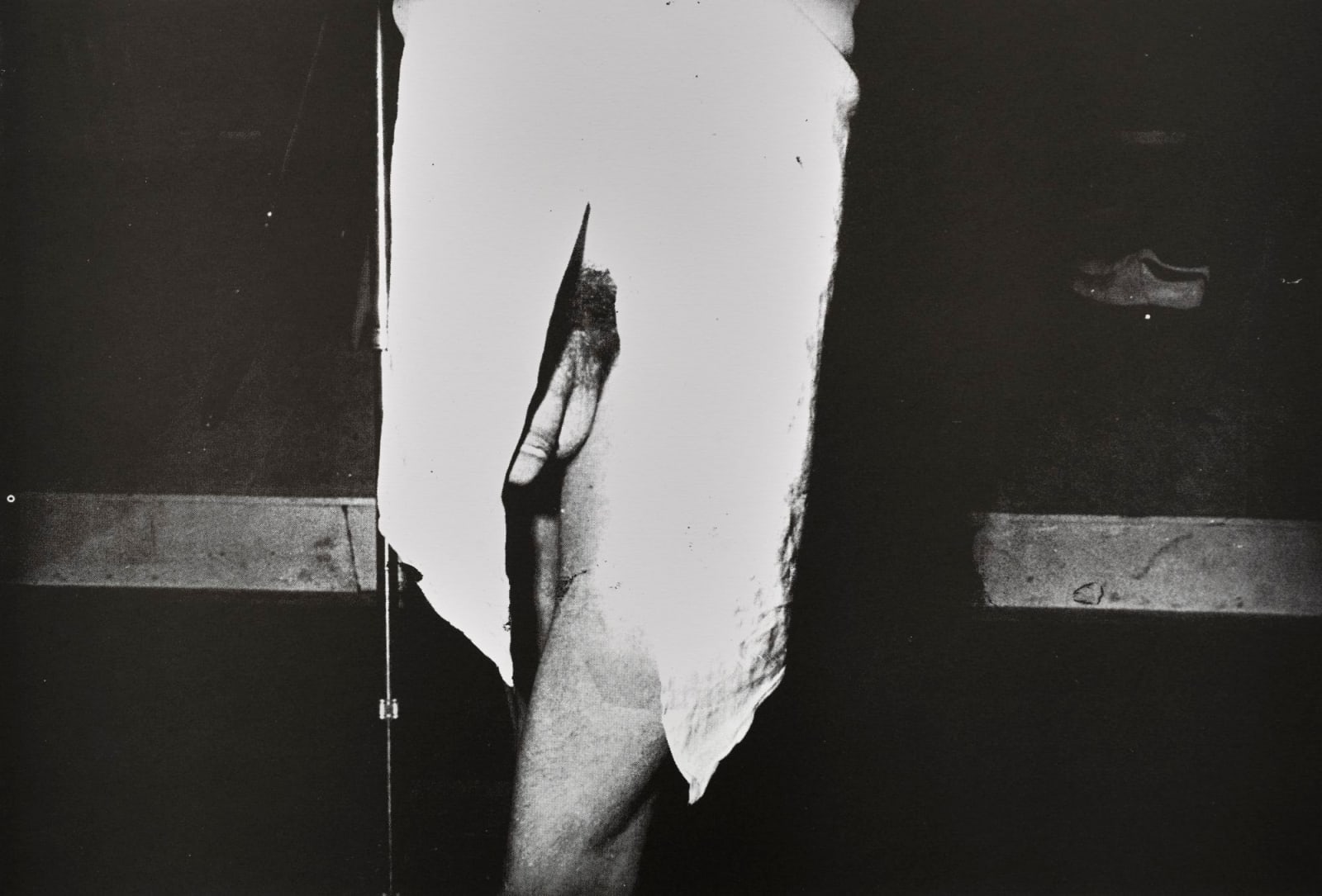 Jimmy DeSana, 101 Nudes, 1972/1991