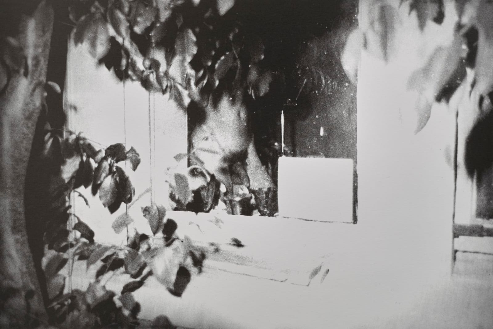 Jimmy DeSana, 101 Nudes, 1972/1991