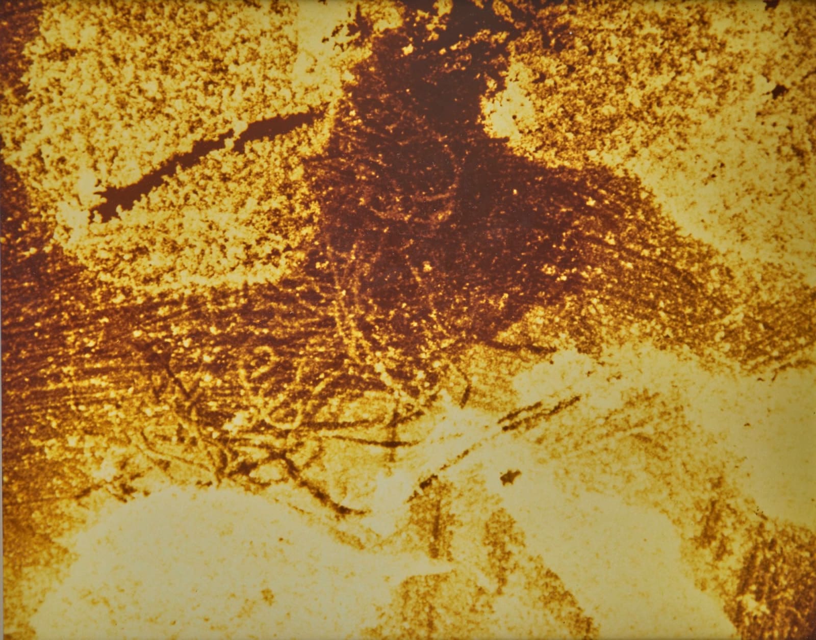 Jimmy DeSana, String VI, 1987
