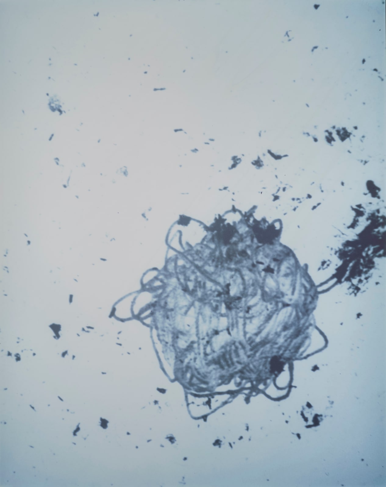 Jimmy DeSana, String V, 1987